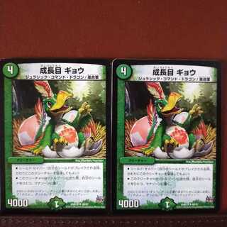 mri1444 set discount Growth eye Gyo.