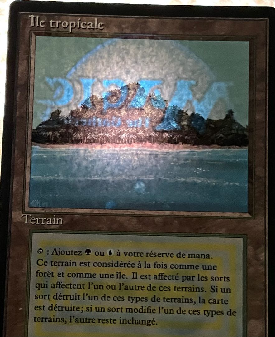 仏語 Tropical Island 黒枠 MP