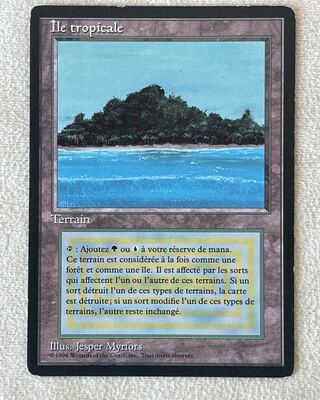 仏語 Tropical Island 黒枠 MP