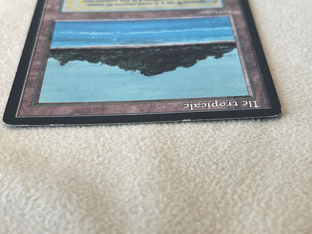 仏語 Tropical Island 黒枠 MP