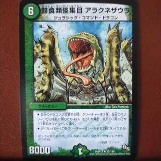 mri1452セット割引　節食類怪集目 アラクネザウラ