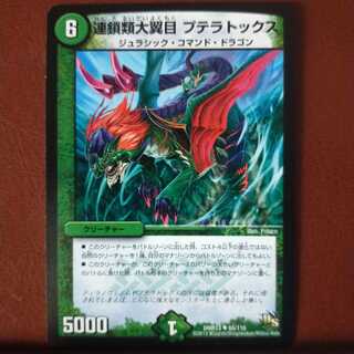 mri1458 set discount Chordata large winged order Aerodactyl Tox.