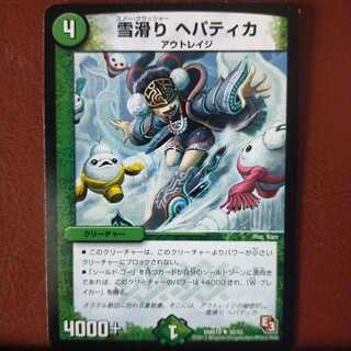 mri1461 set discount snow slide hepatica