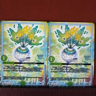 mri1481 set discount cub