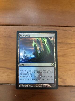 闇滑りの岸　foil