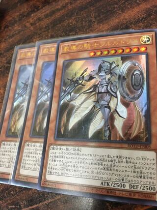 教導の騎士フルルドリス