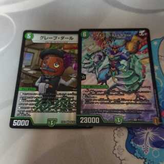 ケントナーク グレープダール セット