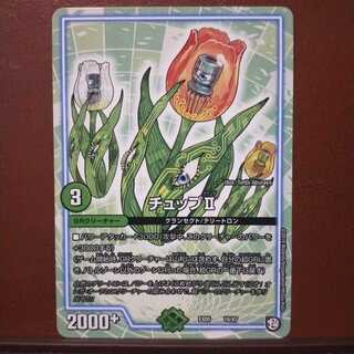 mri1510 set discount chup II