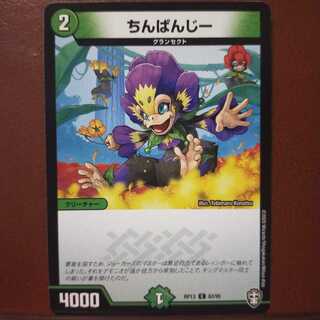 mri1516セット割引　ちんぱんじー