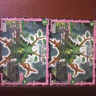 mri1519セット割引　νχスプノックル