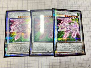 Accel Synchro Stardust Dragon Prismatic Secret Rare
