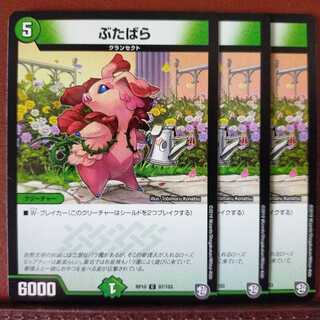 mri1534セット割引　ぶたばら