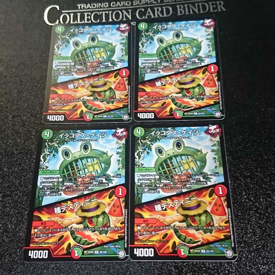 イッコダス・ケイジ|種デスティニー