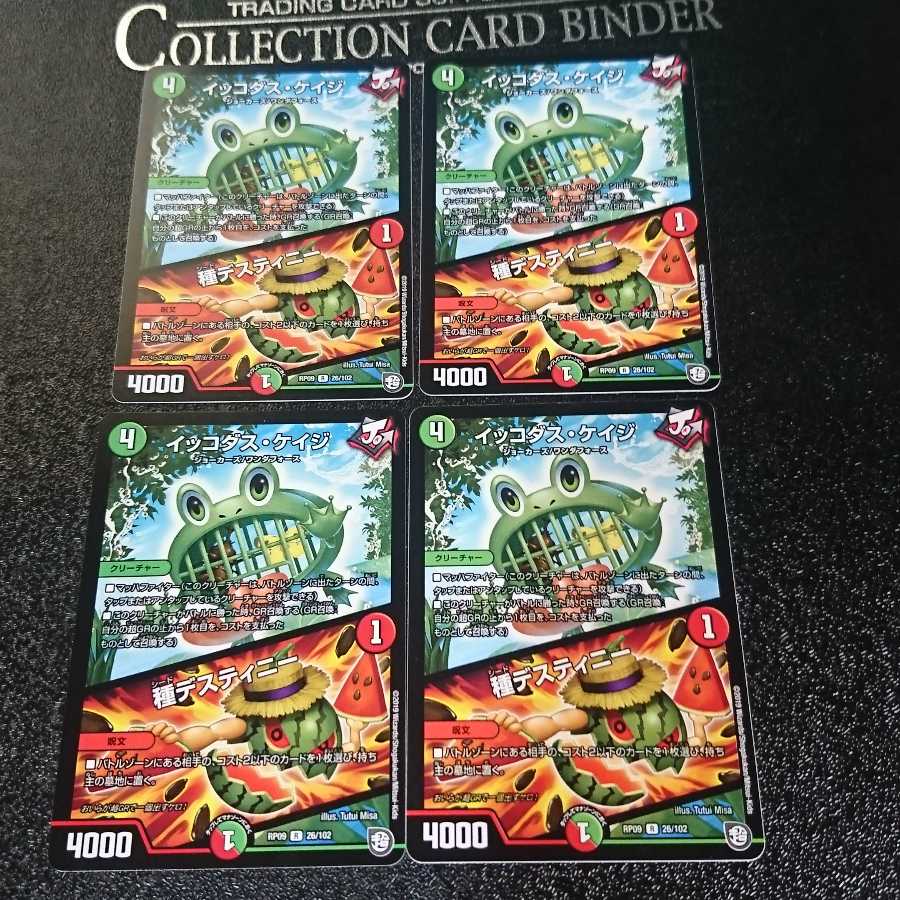 イッコダス・ケイジ｜種デスティニー