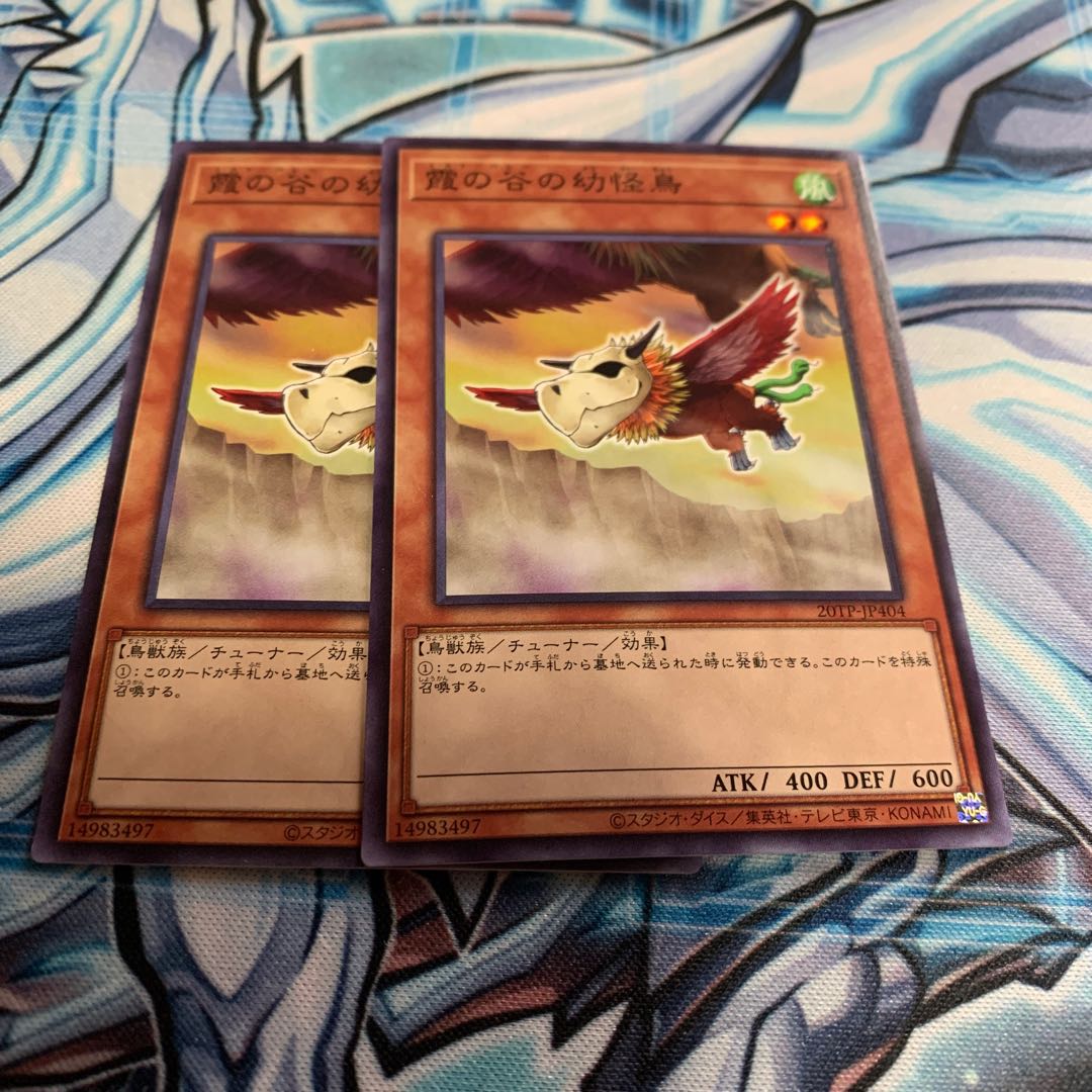 霞の谷の幼怪鳥 ノーマル