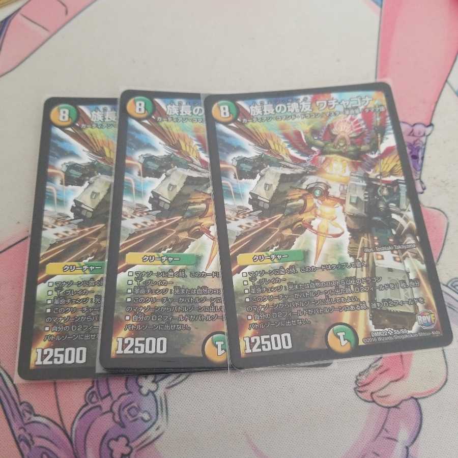 族長の魂友 ワチャゴナ