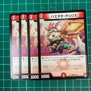 ハエタタ・チュリス