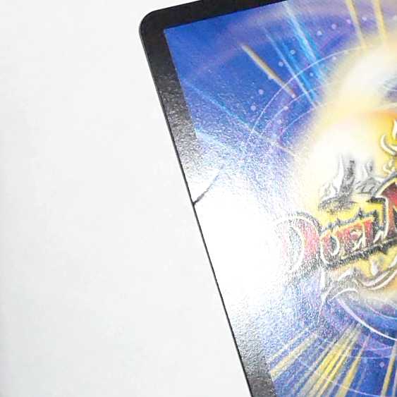 絶望と反魂と滅殺の決断(パーフェクト・ダークネス) シク