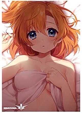 【募集用】高坂穂乃果スリーブ