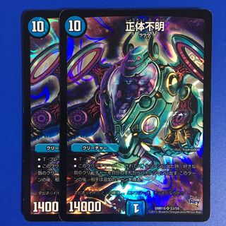 正体不明　2枚セット