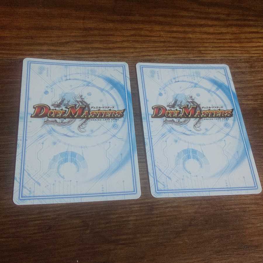 白皇角の意志 ルーベライノ