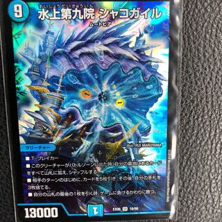 シャコガイル