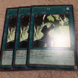 高尚儀式術 レア