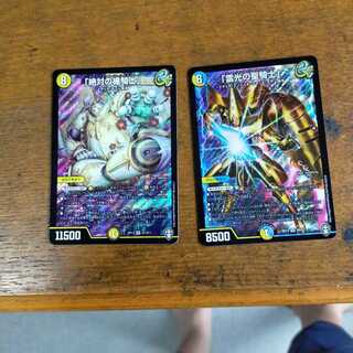 「絶対の楯騎士」  「雷光の聖騎士｣