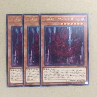 天威龍-ヴィシュダ