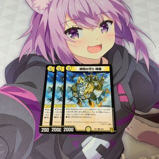 検問の守り 輝羅　3枚セット