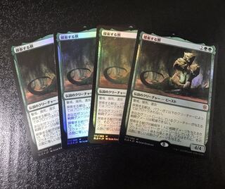 【ネコ様専用】探索する獣　foil