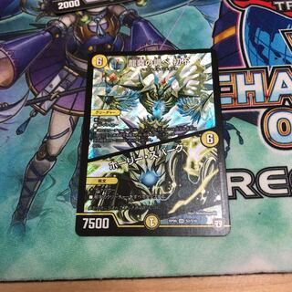 龍装の調べ初不 1枚