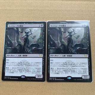 ハル様専用　セッジムーアの魔女2枚セット