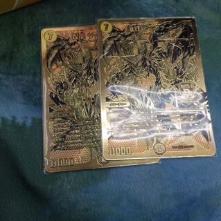 サッヴァーク 金シク