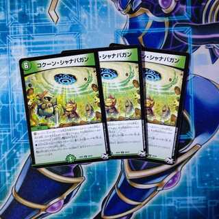 コクーン・シャナバガン ３枚セット