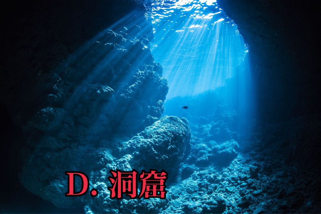 遊戯王 ¥380 低額 オリパ 〜海の世界〜 人魚の集落編