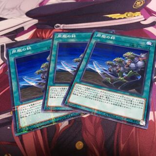 同胞の絆 パラレル ノーマル3枚