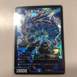 シャコガイル 1枚