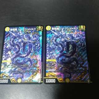 Holy plate dragon Siegstolz