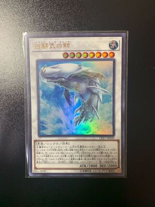 白闘気白鯨 ウルトラレア