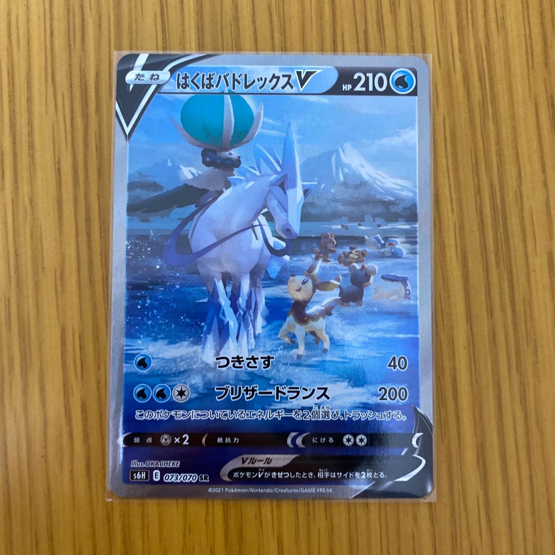 はくばバドレックスV SR