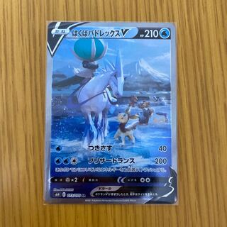 はくばバドレックスV SR