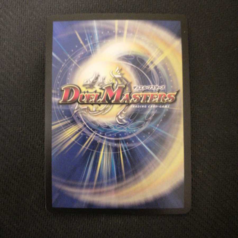 絶望と反魂と滅殺の決断(パーフェクト・ダークネス) シク