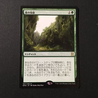 森の知恵 日本語 MTG エターナルマスターズ