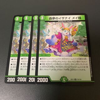 Izanai of Forest Dreams Dear Rosa