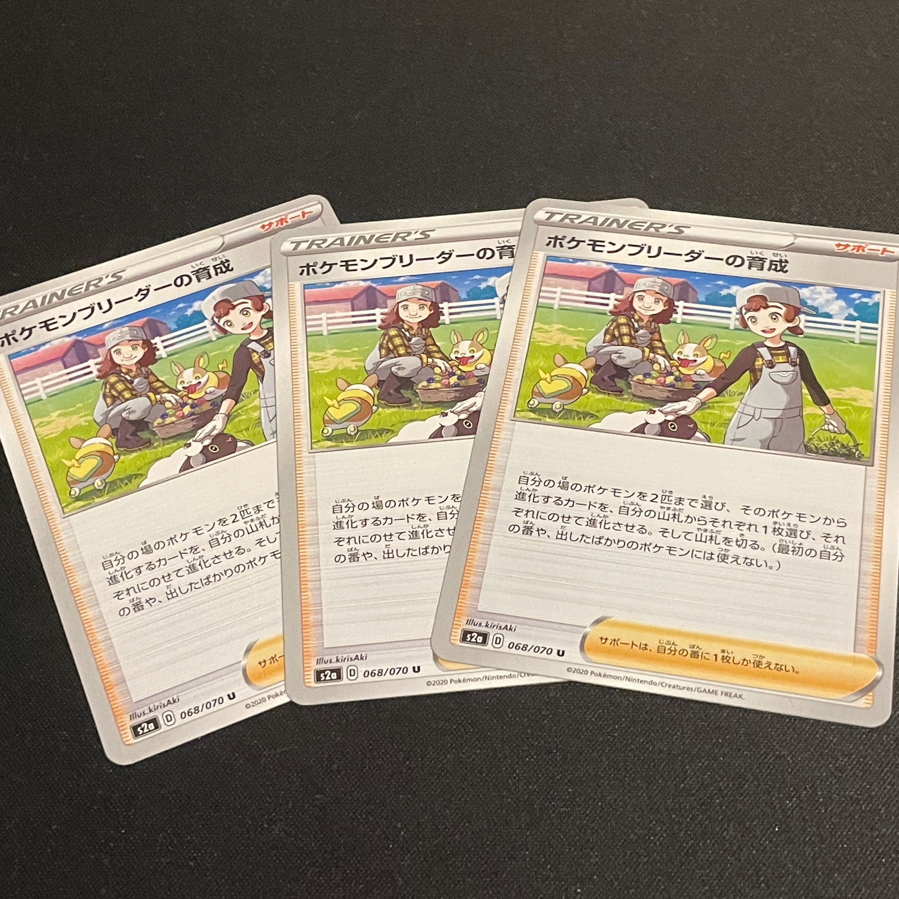 ポケモンブリーダーの育成 3枚