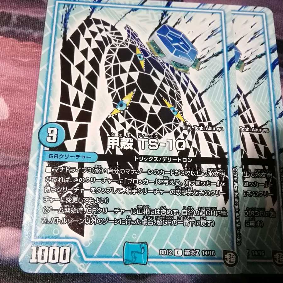 甲殻 TS-10 2枚 アカマル