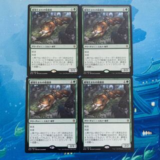 MTG 4枚 僻境生まれの保護者