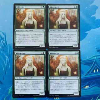 MTG 4 Paradise Druid