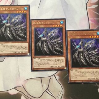揺海魚デッドリーフ　３枚　遊戯王